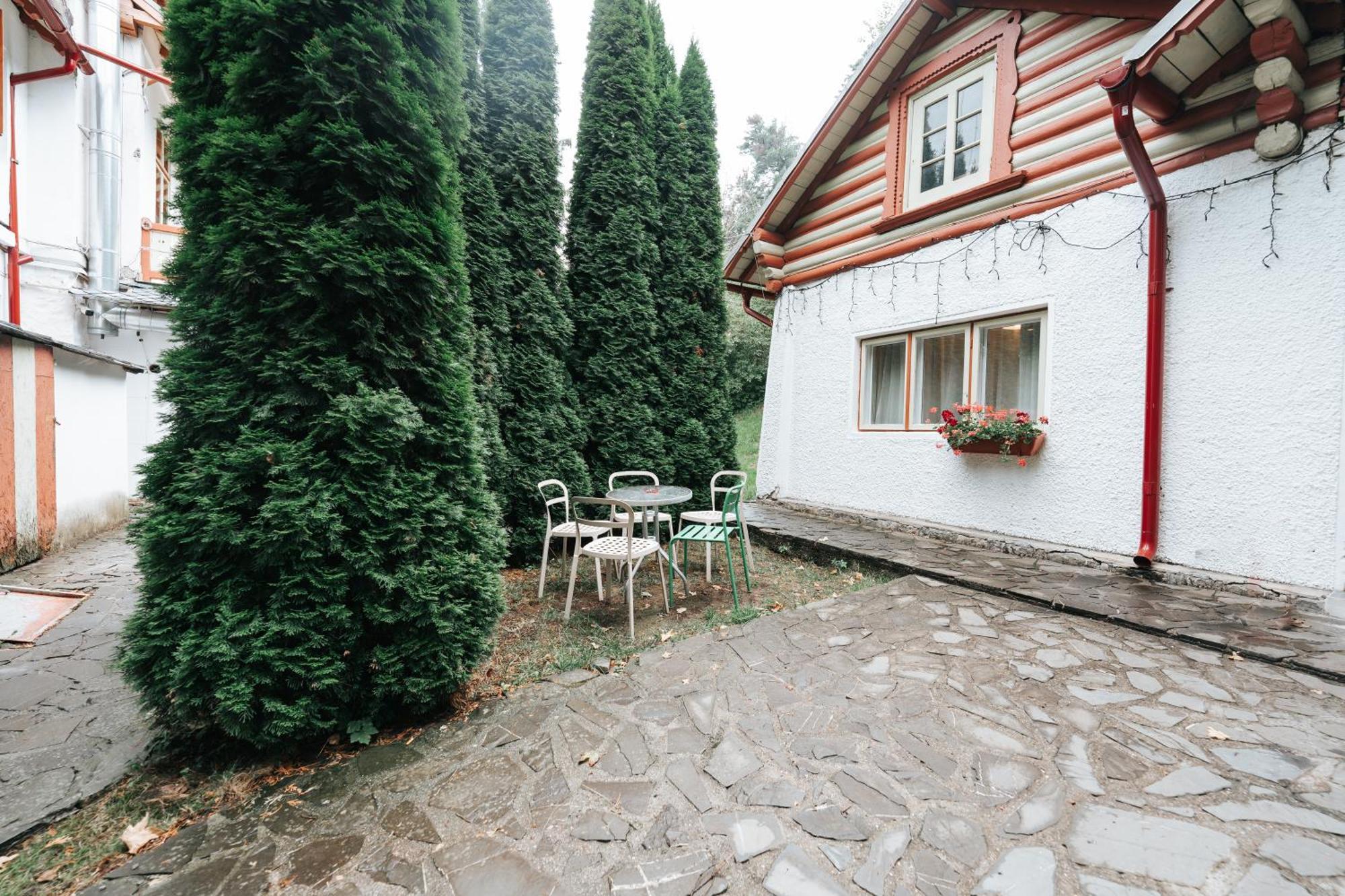Vila Camelia Sinaia Exterior photo