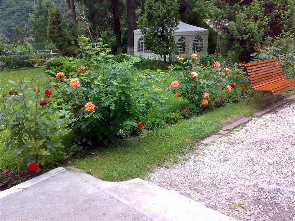 Vila Camelia Sinaia Exterior photo