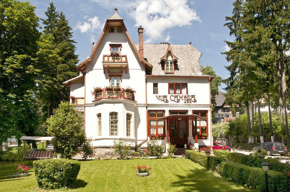 Vila Camelia Sinaia Exterior photo